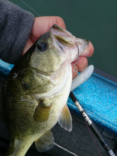 truth truth_news ブログ写真 2015/09/18