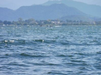 truth truth_news ブログ写真 2015/09/19