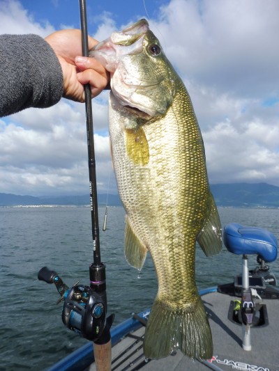 truth truth_news ブログ写真 2015/09/19