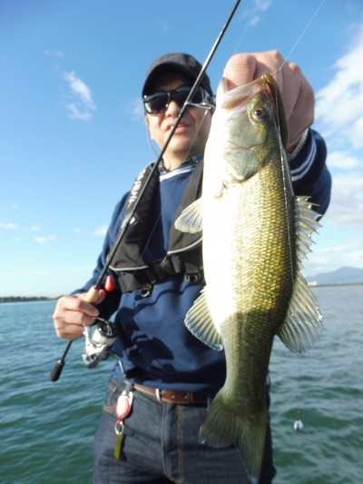 truth truth_news ブログ写真 2015/09/19