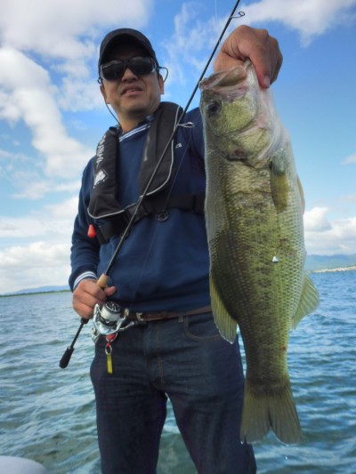 truth truth_news ブログ写真 2015/09/19