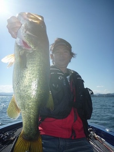 truth truth_news ブログ写真 2015/09/20