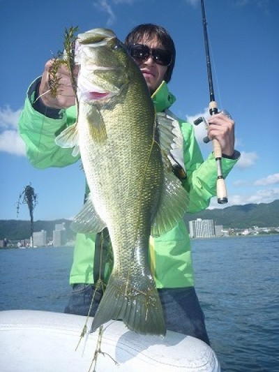 truth truth_news ブログ写真 2015/09/20