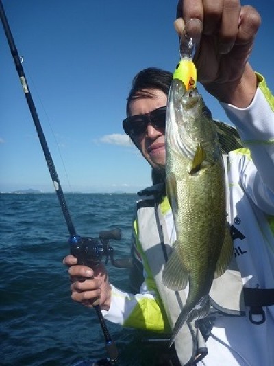 truth truth_news ブログ写真 2015/09/20