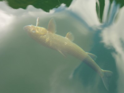 truth truth_news ブログ写真 2015/10/02