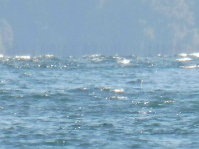 truth truth_news ブログ写真 2015/10/08