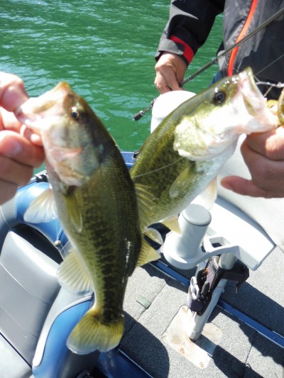 truth truth_news ブログ写真 2015/10/08