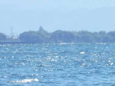 truth truth_news ブログ写真 2015/10/08