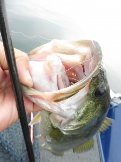 truth truth_news ブログ写真 2015/10/10