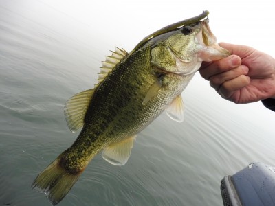 truth truth_news ブログ写真 2015/10/10