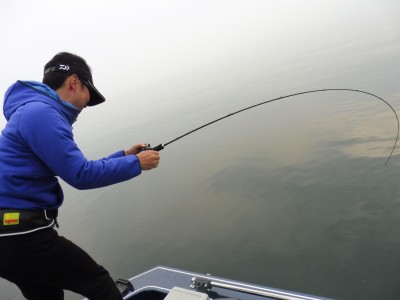 truth truth_news ブログ写真 2015/10/10