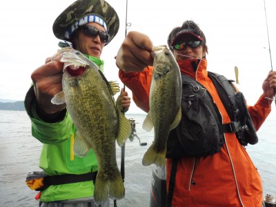 truth truth_news ブログ写真 2015/10/13