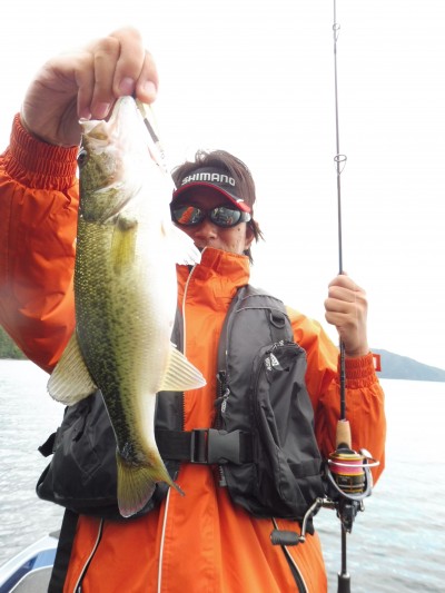 truth truth_news ブログ写真 2015/10/13