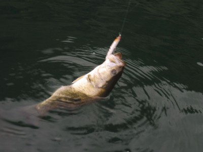 truth truth_news ブログ写真 2015/10/13