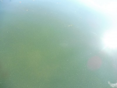 truth truth_news ブログ写真 2015/10/14