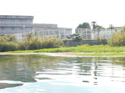 truth truth_news ブログ写真 2015/10/14