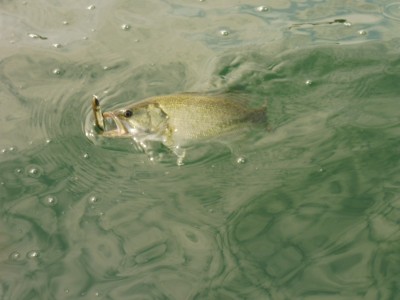 truth truth_news ブログ写真 2015/10/16