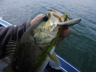 truth truth_news ブログ写真 2015/10/16