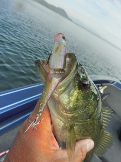 truth truth_news ブログ写真 2015/10/16