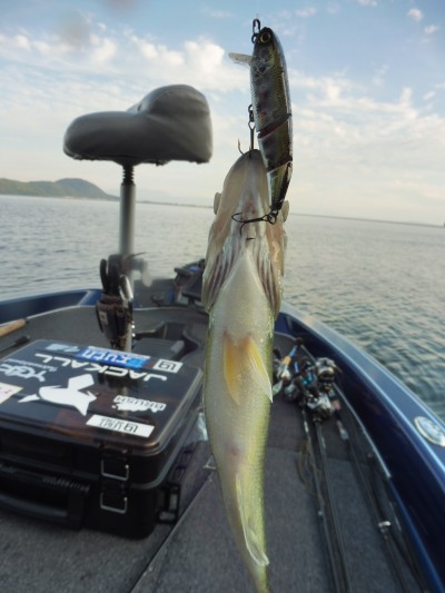 truth truth_news ブログ写真 2015/10/16