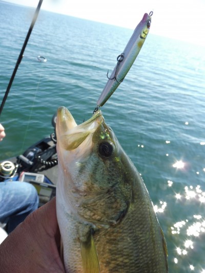 truth truth_news ブログ写真 2015/10/16