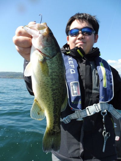 truth truth_news ブログ写真 2015/10/16