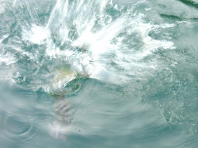 truth truth_news ブログ写真 2015/10/16