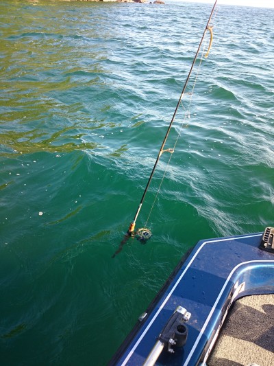 truth truth_news ブログ写真 2015/10/18