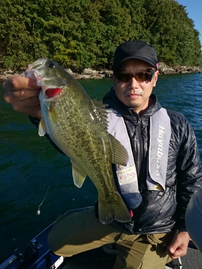 truth truth_news ブログ写真 2015/10/18