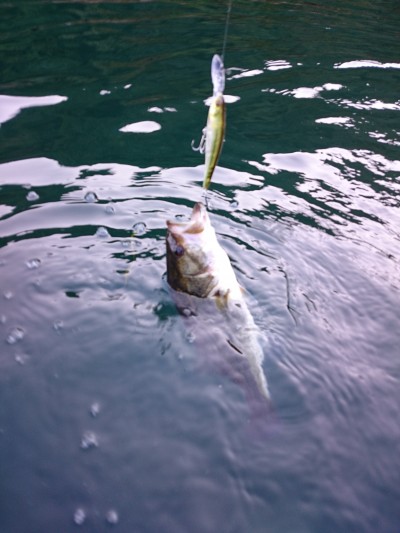 truth truth_news ブログ写真 2015/10/18