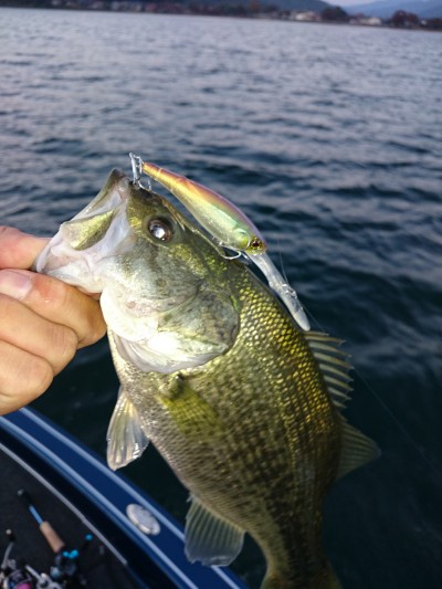 truth truth_news ブログ写真 2015/10/18