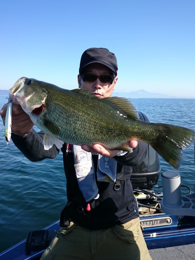 truth truth_news ブログ写真 2015/10/18