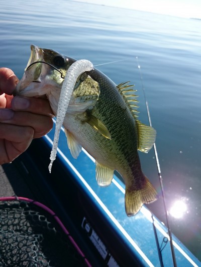 truth truth_news ブログ写真 2015/10/18