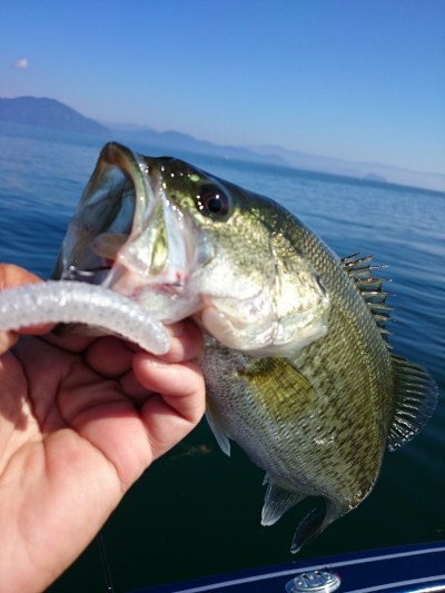 truth truth_news ブログ写真 2015/10/18