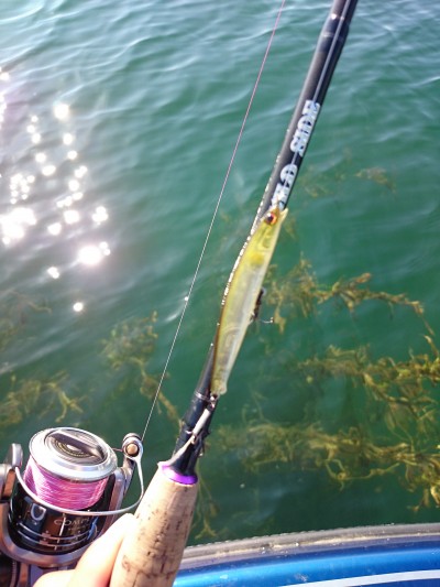 truth truth_news ブログ写真 2015/10/18