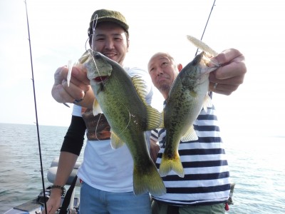 truth truth_news ブログ写真 2015/10/20