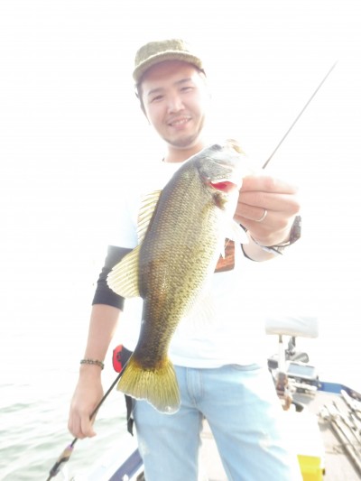 truth truth_news ブログ写真 2015/10/20