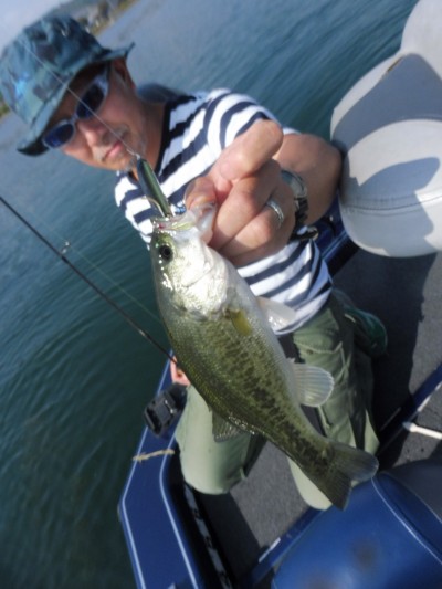 truth truth_news ブログ写真 2015/10/20