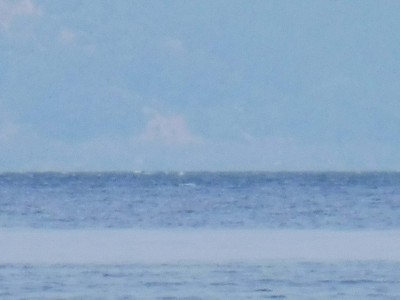 truth truth_news ブログ写真 2015/10/20