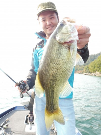 truth truth_news ブログ写真 2015/10/20