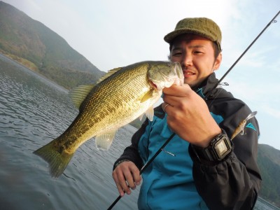 truth truth_news ブログ写真 2015/10/20