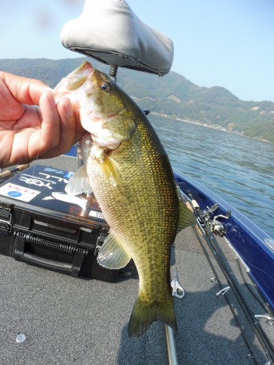 truth truth_news ブログ写真 2015/10/21