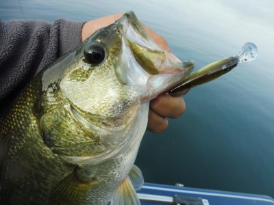 truth truth_news ブログ写真 2015/10/21