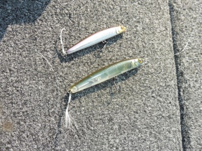 truth truth_news ブログ写真 2015/10/21