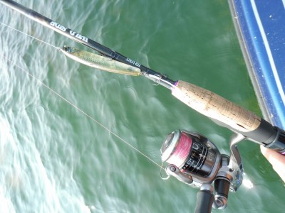 truth truth_news ブログ写真 2015/10/21