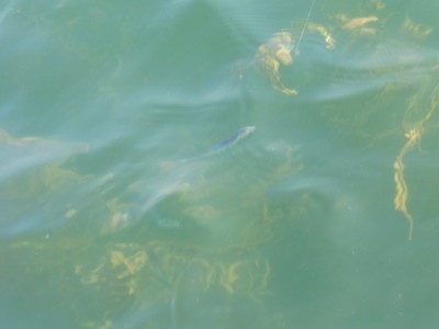 truth truth_news ブログ写真 2015/10/21