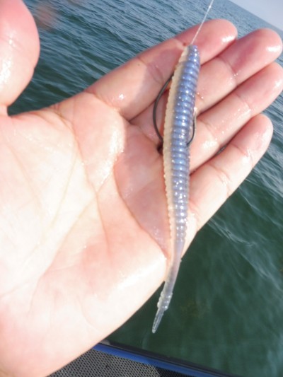 truth truth_news ブログ写真 2015/10/21