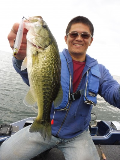 truth truth_news ブログ写真 2015/10/22