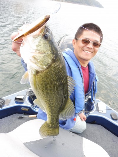 truth truth_news ブログ写真 2015/10/22