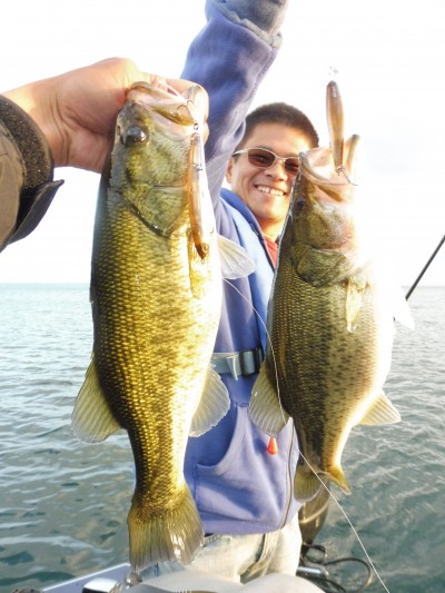 truth truth_news ブログ写真 2015/10/22